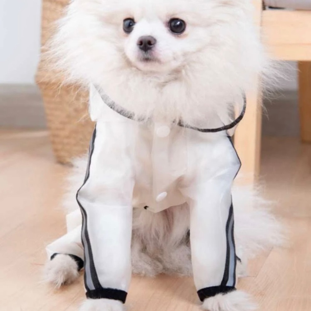 Dog Raincoat and boots set